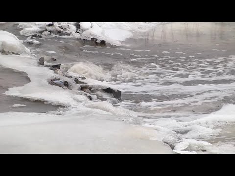 Видео: Ақмола облысында ауыл әкімі су бөгетін сатып, өзенді жауып тастады