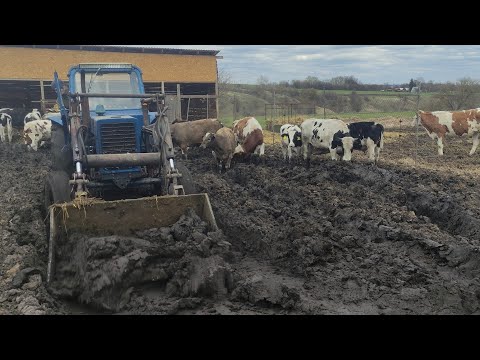 Видео: Залезли в самую жижу