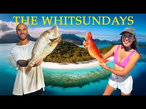 Видео: Из Эйрли-Бич в Таунсвилл, Квинсленд — полные впечатления!