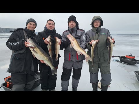 Видео: Ловля судака на Волге в "весенний январский день "ice fishing
