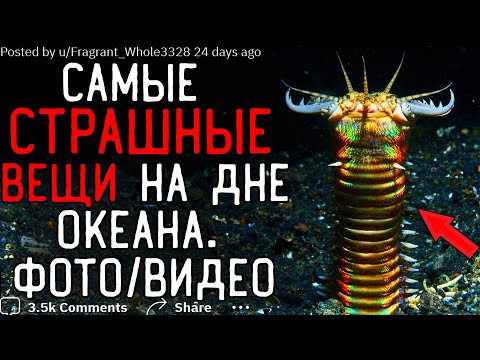 Видео: Какую Самую СТРАШНУЮ ВЕЩЬ На Дне вы видели? (Фото/видео)