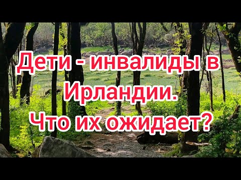 Видео: Что ждёт детей инвалидов в Ирландии? И их родителей.