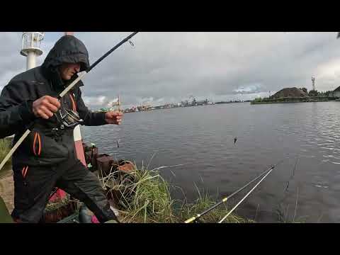 Видео: Судак на филе плотвы, а так же экзамен для  ловли на Херабуну при сильном течении.