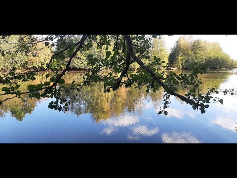 Видео: Я пришлю тебе осень (в обычном почтовом конверте)