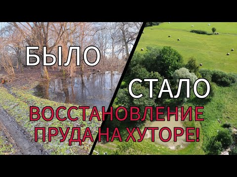 Видео: 20 лет никто не трогал этот пруд    Смотрите, что мы сделали!