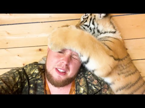 Видео: В домике ТИГРЯТ !! Отвечаем на вопросы и говорим по душам ✨