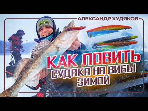 Видео: Секреты ловли зимнего судака! Приманки, проводки, где искать и как ловить судака со льда на вибы.