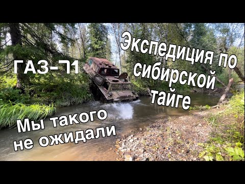 Видео: 3 ДНЯ В ТАЙГЕ | ЭКСПЕДИЦИЯ НА ГАЗ-71 | ПОЛОМКИ НЕИЗБЕЖНЫ