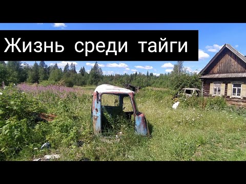 Видео: АУЖД | Заброшенная деревня  Берёзовка