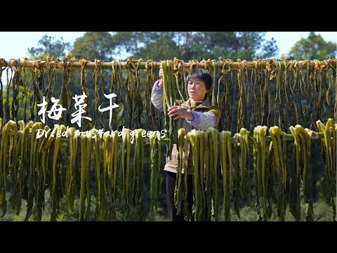 Видео: Сушка гигантской капусты в квашеную гачу  тушение «Дongpo pork»  обжаривание рагу из креветок с гач