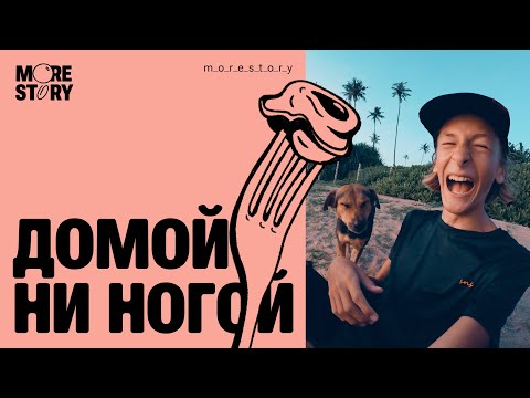 Видео: Полгода на Шри-Ланке. Куда дальше? #шриланка #путешествия #кудапоехатьотдыхать