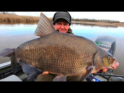 Видео: Вот это рыбалка! Лещи на кормачки как канализационные люки! Мешаем прикормку в сапоге!