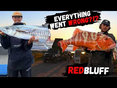 Видео: Наш подвесной мотор ОСТАНОВИЛСЯ!?! в море | РЫБАЛКА ГНАРАЛУ и РЕДБЛАФФ