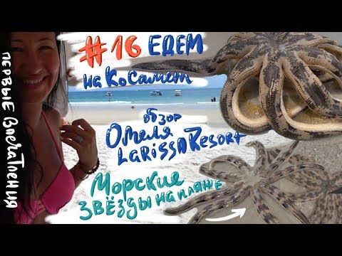 Видео: #16 Самет. Первые впечатления. Отель Larissa Resort. Цены в кафе. Пляж весь в морских звёздах