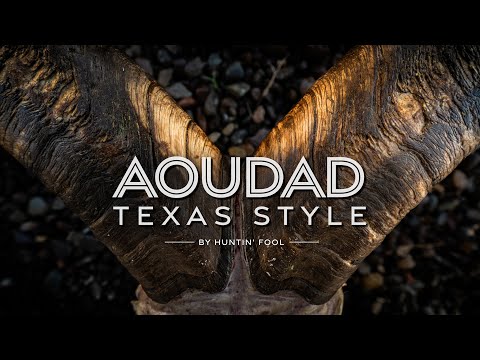 Видео: Охота на овец для бедняков | THE ADVISORS: Aoudad – в техасском стиле