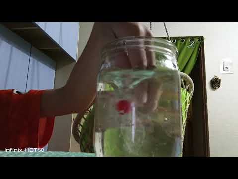 Видео: Торнадо под водой