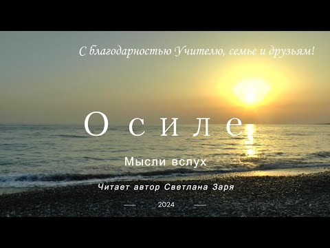 Видео: Мысли вслух "О силе".