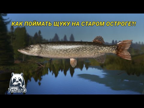 Видео: ГАЙД! ГДЕ И КАК ЛОВИТЬ ЩУКУ НА СТАРОМ ОСТРОГЕ!