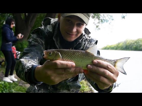 Видео: Голавль на фидер. Рыбалка в начале лета! Воронежская область 2020.