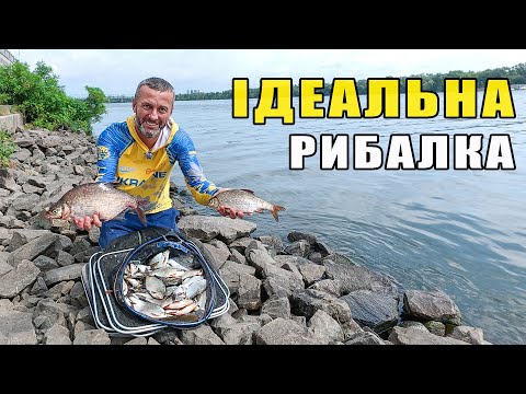 Видео: КУПА РИБИ В ЦЕНТРІ КИЄВА. Фідерна риболовля на Новій набережній з першого до останнього закиду.