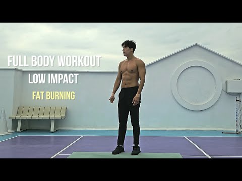 Видео: 20-минутная тренировка для сжигания жира с низкой нагрузкой | Без оборудования | Full Body Workout