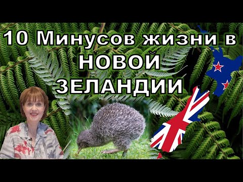 Видео: Минусы жизни в Новой Зеландии