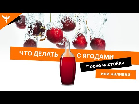 Видео: рДЖ 29: Настойка из ягод... после настойки 🍒 Или что делать с ягодами после настойки или наливки