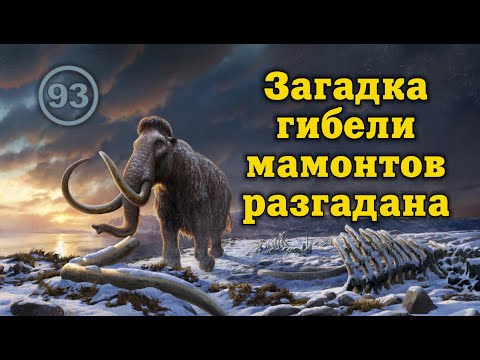 Видео: Мамонтов убила не космическая катастрофа, не смена полюсов и не первобытные люди… Фильм 93