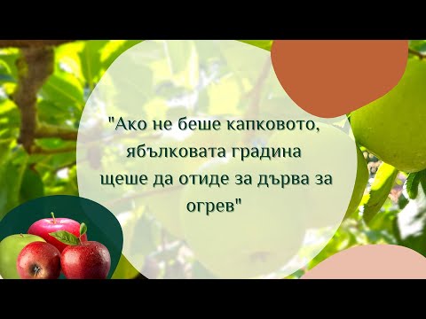 Видео: Защо  капковото напояване е много по-добро от гравитачното напояване за овощни градини?