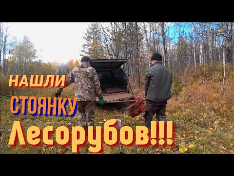 Видео: НАШЛИ стоянку Лесорубов времён СССР!!! В ПОСКЕ металла!!!!!