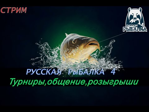 Видео: Русская рыбалка 4. Аккаунт универсал!