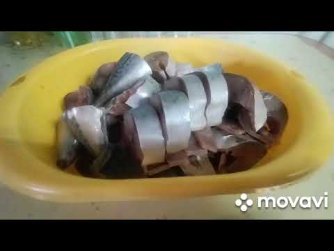 Видео: Скумбрия в банке, в автоклаве 