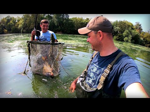 Видео: Бабусині снасті дубасять Дніпрових коропів, аж воротник на шубі заверта!