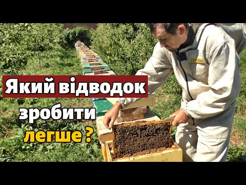 Видео: Ранній відводок бджіл. Як легко зробити відводок?