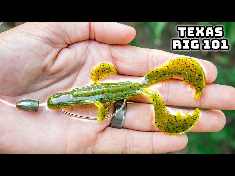 Видео: Научитесь ловить рыбу на техасскую оснастку в 2025 году! (Успех гарантирован)