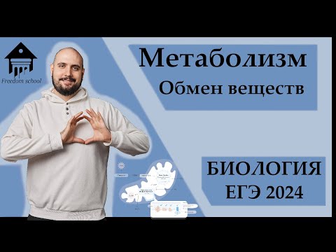 Видео: Метаболизм. Фотосинтез и Энергообмен ДЛЯ ЕГЭ 2023 |ЕГЭ БИОЛОГИЯ|Freedom|