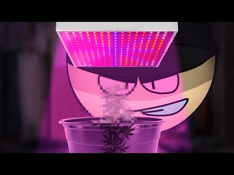 Видео: Выращивание «зелёных» растений — анимированная история