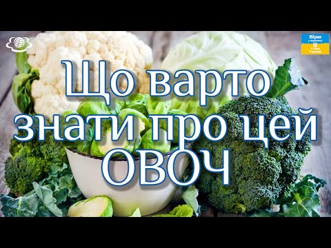 Видео: Капуста допомагає при лікуванні шлунка, кишківника, а також підвищує потенцію, рецепти