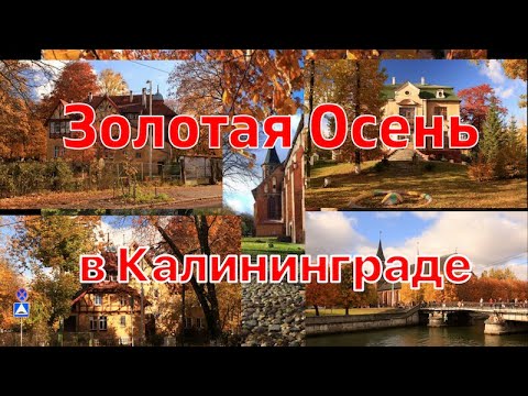Видео: Золотая Осень в Калининграде