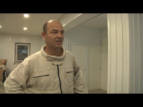 Видео: Пчеловодная база Матюшкиных