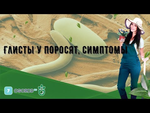 Видео: Глисты у поросят, симптомы