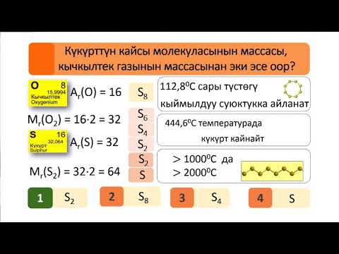 Видео: 33-сабак