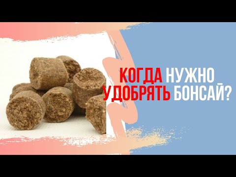 Видео: Как и когда удобрять Бонсай? Гранулированные натуральные удобрения для бонсай.