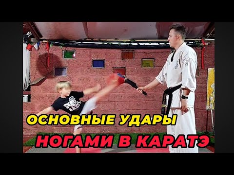 Видео: 🔥ОСНОВНЫЕ УДАРЫ НОГАМИ В КАРАТЭ 👊