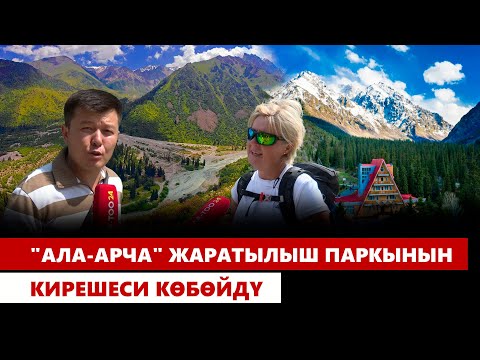 Видео: "Ала-Арча" жаратылыш паркынын кирешеси көбөйдү