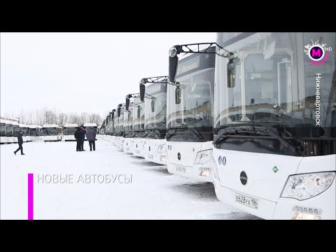 Видео: Мегаполис –  Новые автобусы – Нижневартовск