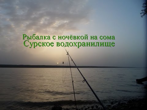 Видео: Рыбалка на сома на Сурское водохранилище- 2021 год