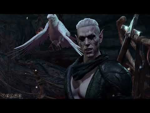 Видео: Жуткие растения и теплый прием в Последнем Приюте! | BG3 #35 #baldursgate3 #прохождение