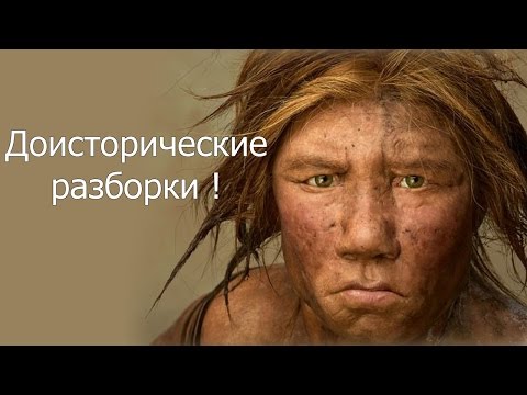 Видео: Доисторические разборки !