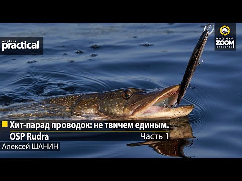 Видео: Хит-парад проводок: не твичем единым. OSP Rudra. Алексей Шанин.  Часть 1. Anglers Practical